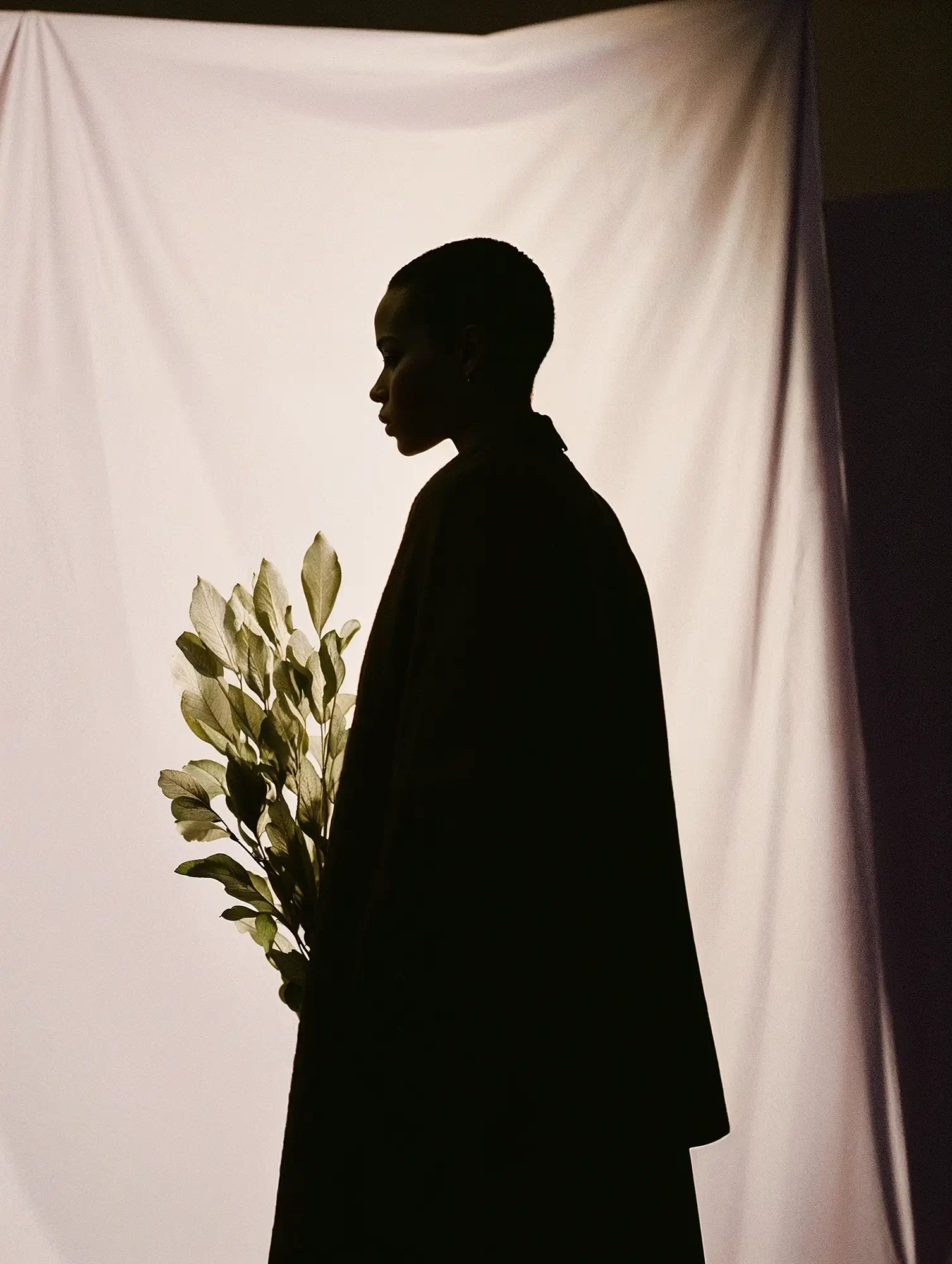 silhouette_person_white Silhouette einer Person mit Blätterzweig vor hellem Stoffhintergrund – symbolisiert Nachhaltigkeit, emotionale Markenführung und individuelles Storytelling im digitalen Marketing.